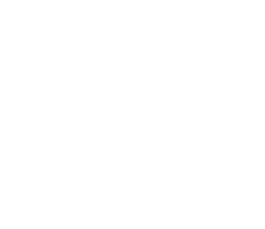 Logo VOID Autumn Cup 2026