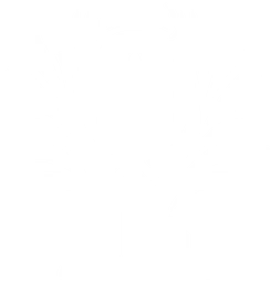 Logo NA Open Cup Finals '26